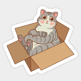 Tabby cat in the box Sticker